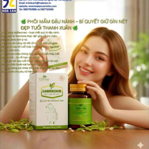 Phôi mầm đậu nành