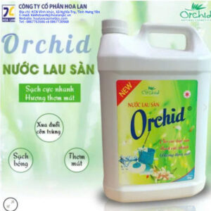 Nước lau sàn hương Ly Ly 5kg