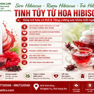 Siro Hibiscus cô đặc 1 lít