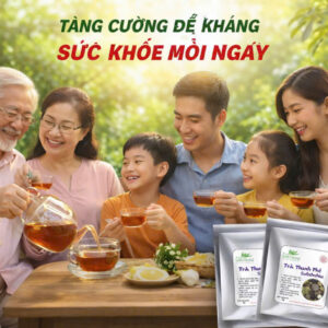 TRÀ THANH PHẾ SAFEORCHID